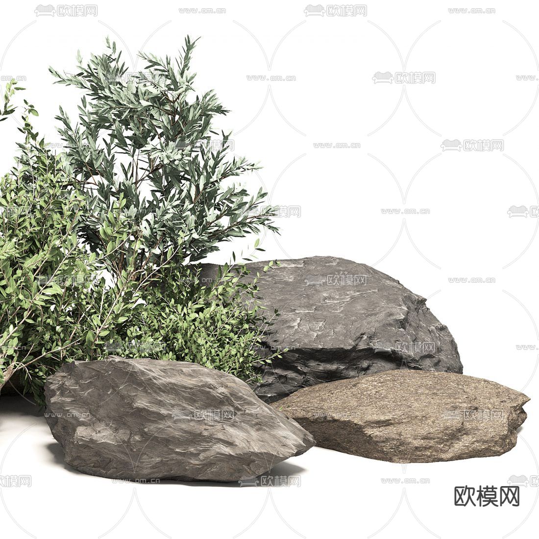 现代石头植物小品3d模型下载（渲染图3）