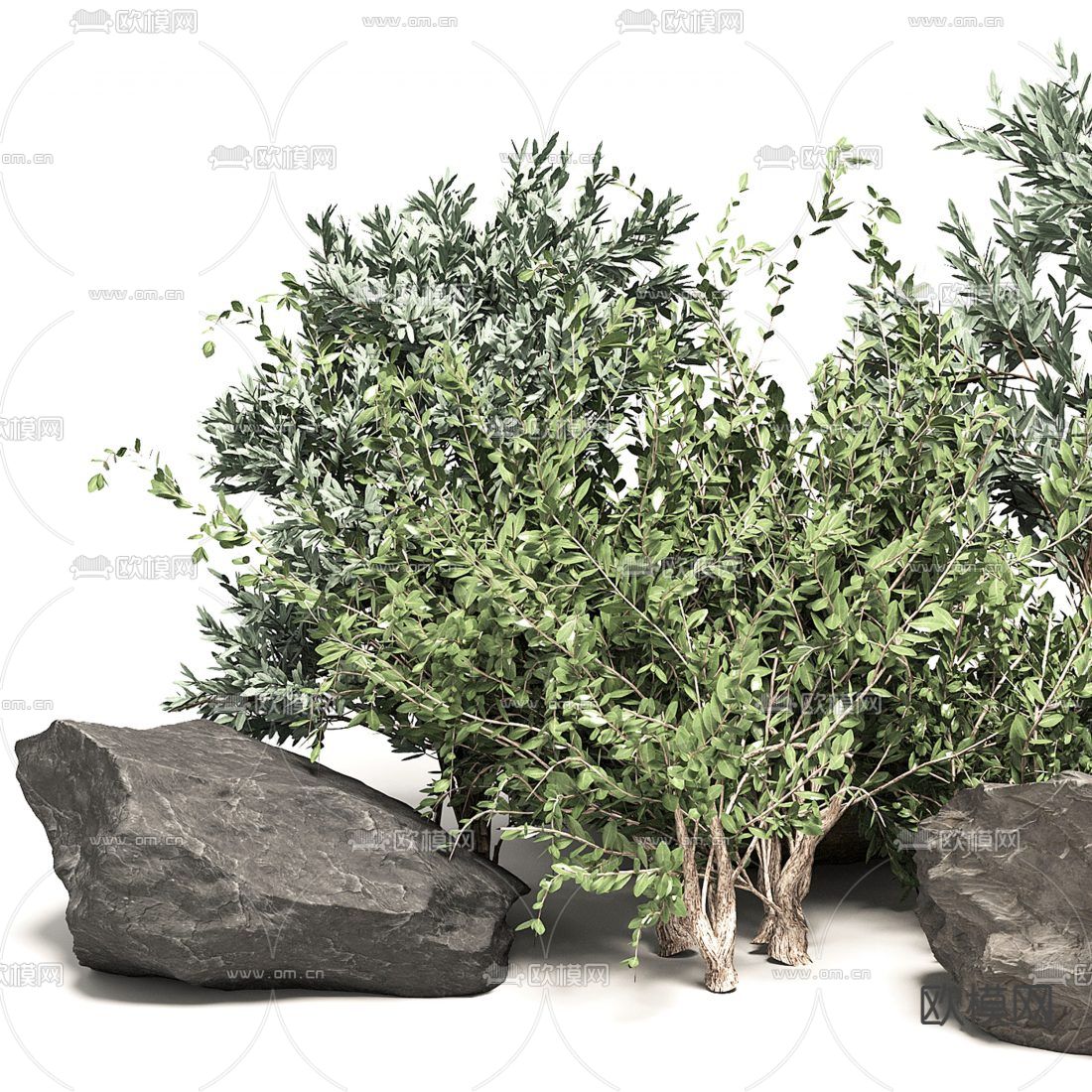 现代石头植物小品3d模型下载（渲染图2）