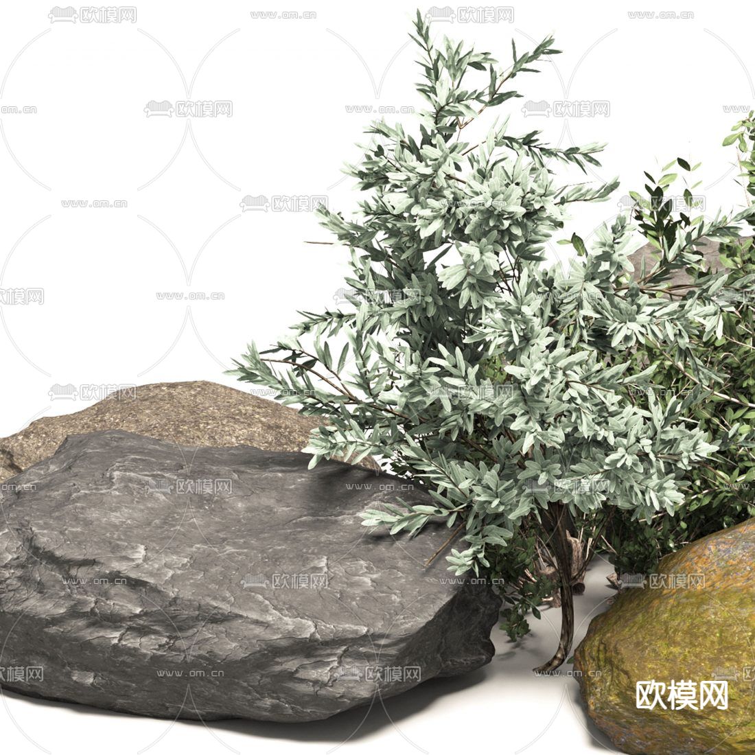 现代石头植物小品3d模型下载（渲染图5）