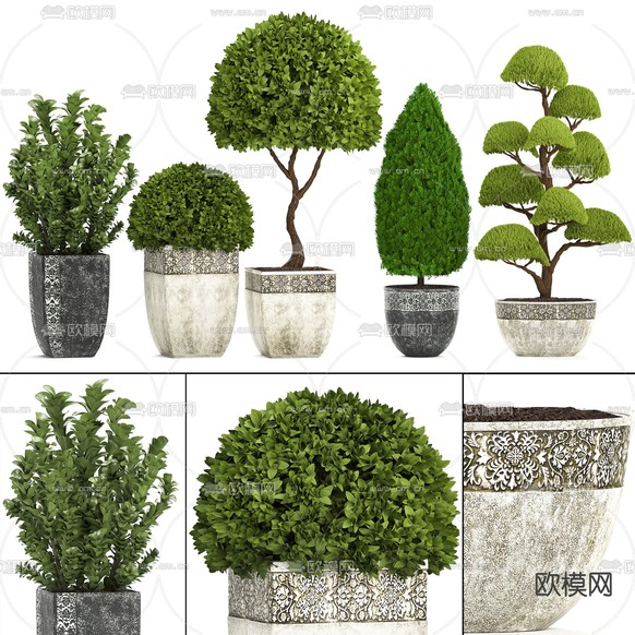 现代绿植盆栽3d模型下载