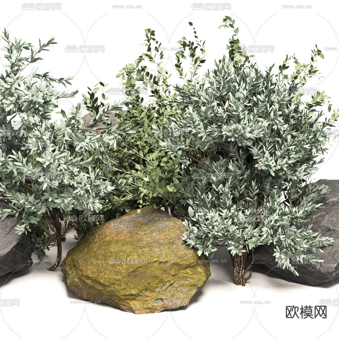 现代石头植物小品3d模型下载（渲染图4）