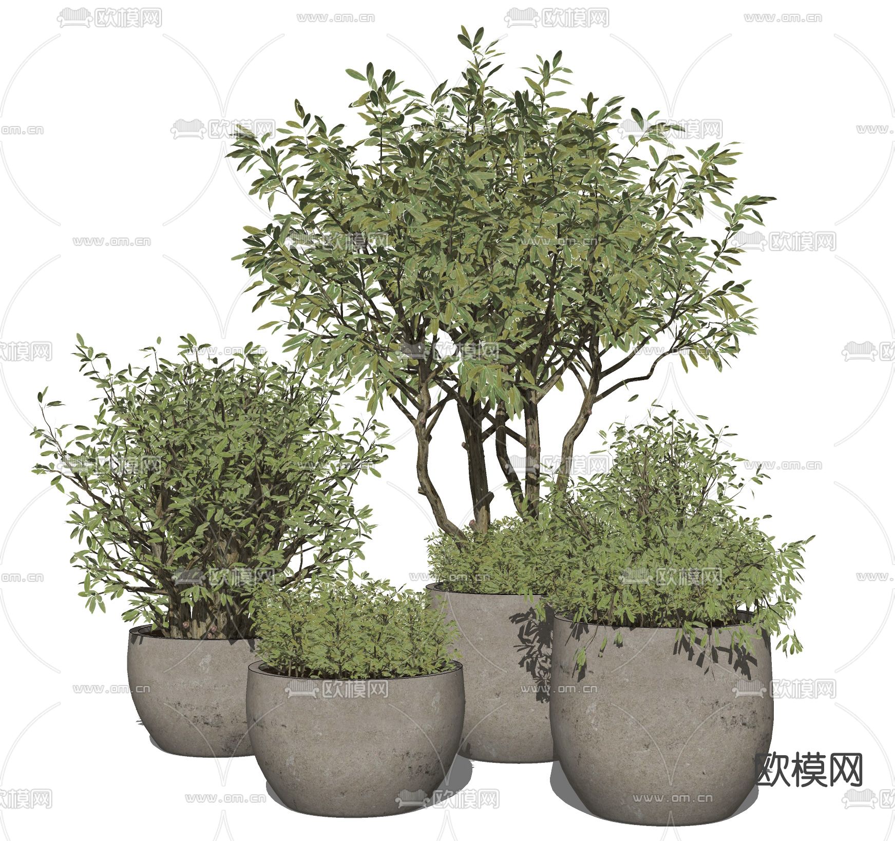 现代植物盆栽su模型