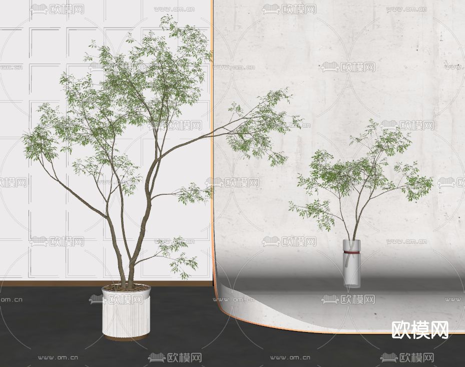 现代植物盆栽su模型