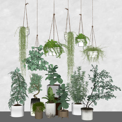  吊篮 绿植盆景su模型 