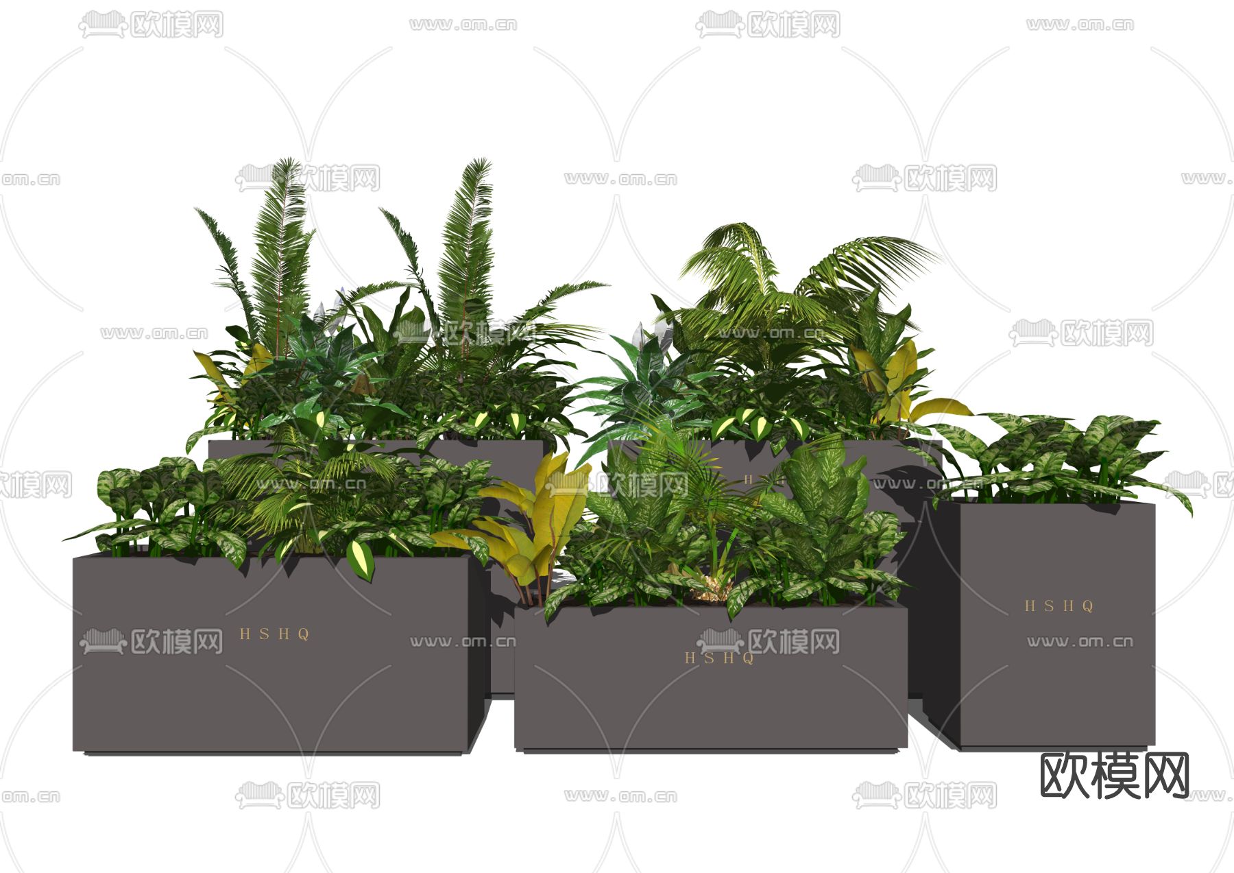 现代植物盆栽su模型
