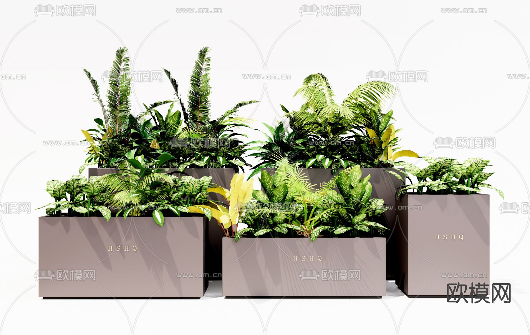 现代植物盆栽su模型