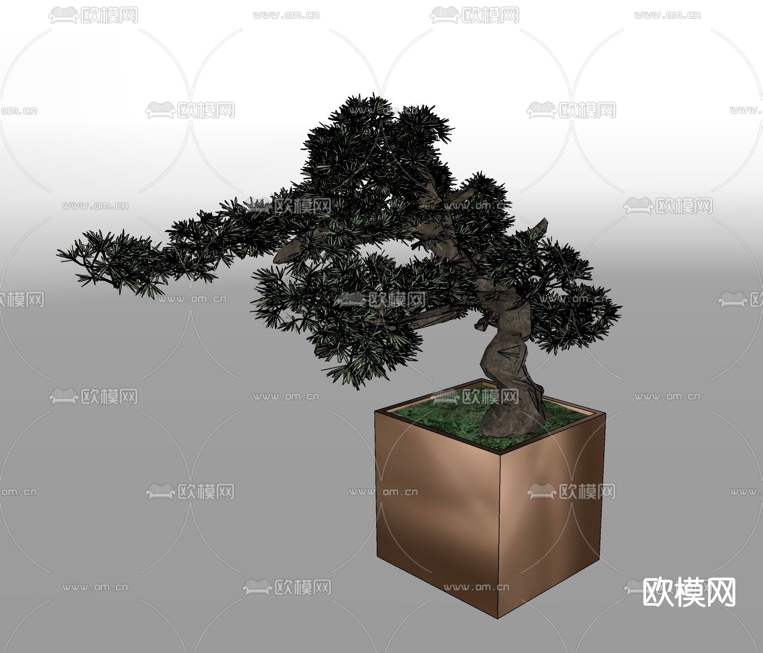 现代植物盆栽su模型下载（渲染图2）