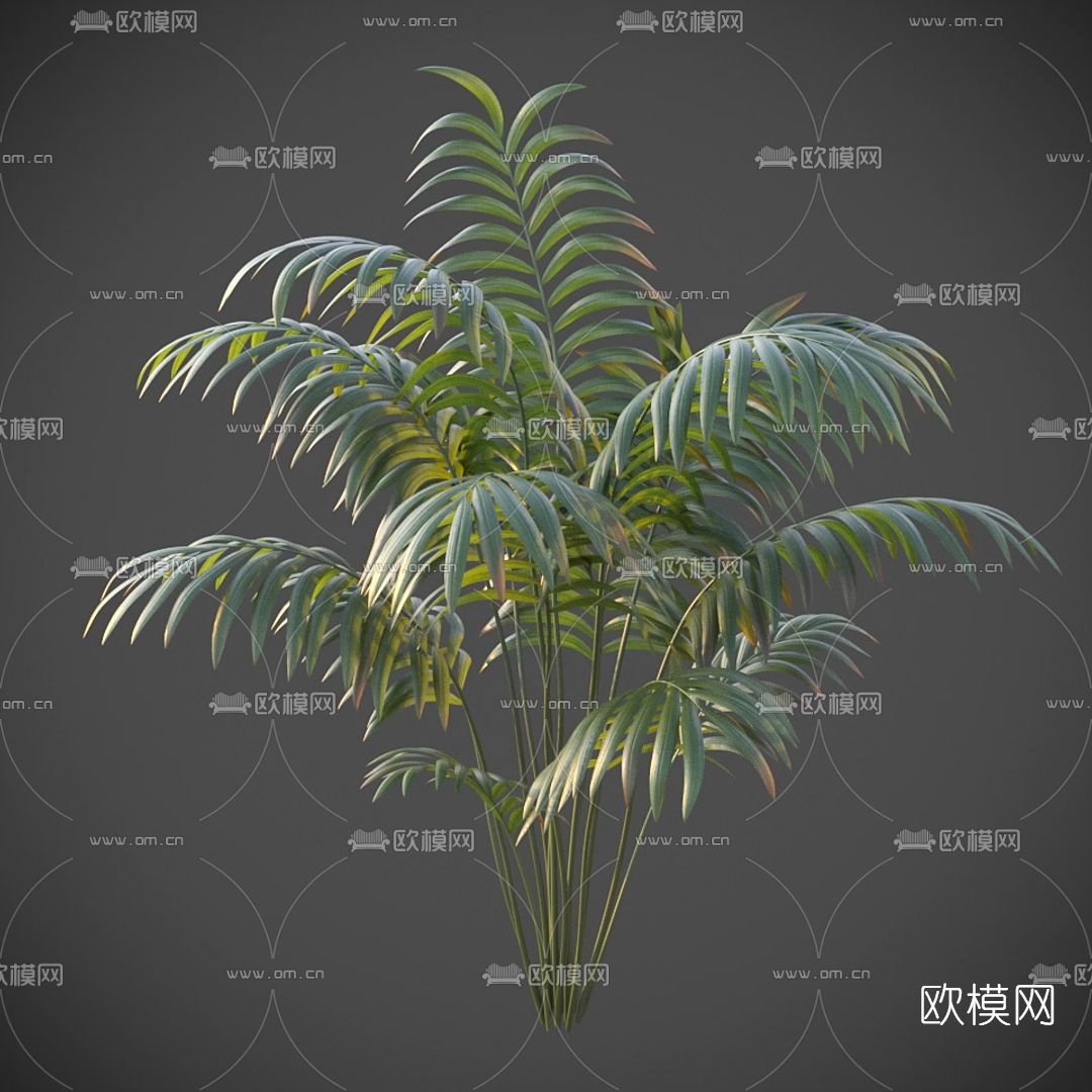 现代绿植灌木免费3d模型下载