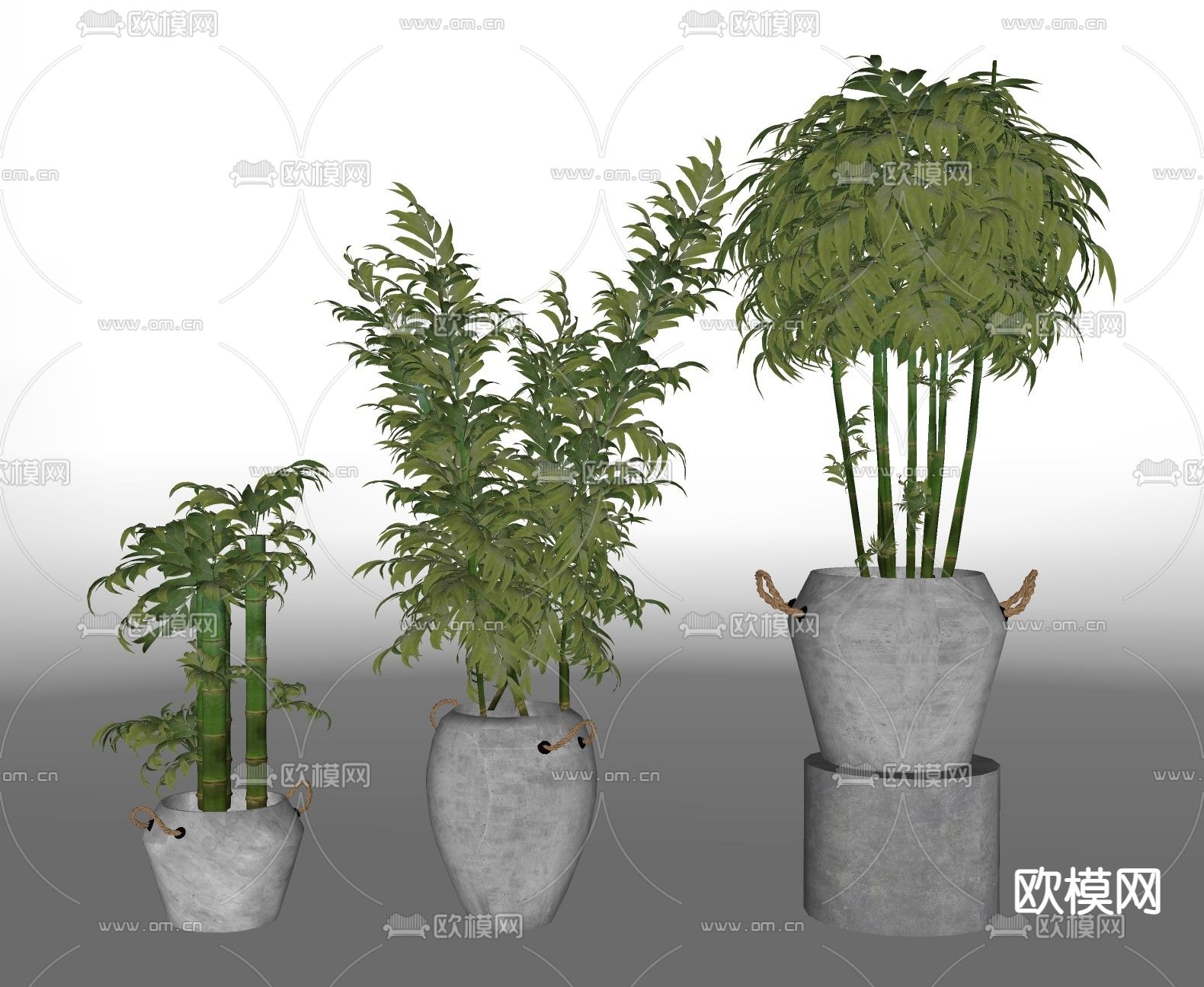 现代植物盆栽su模型下载（渲染图2）