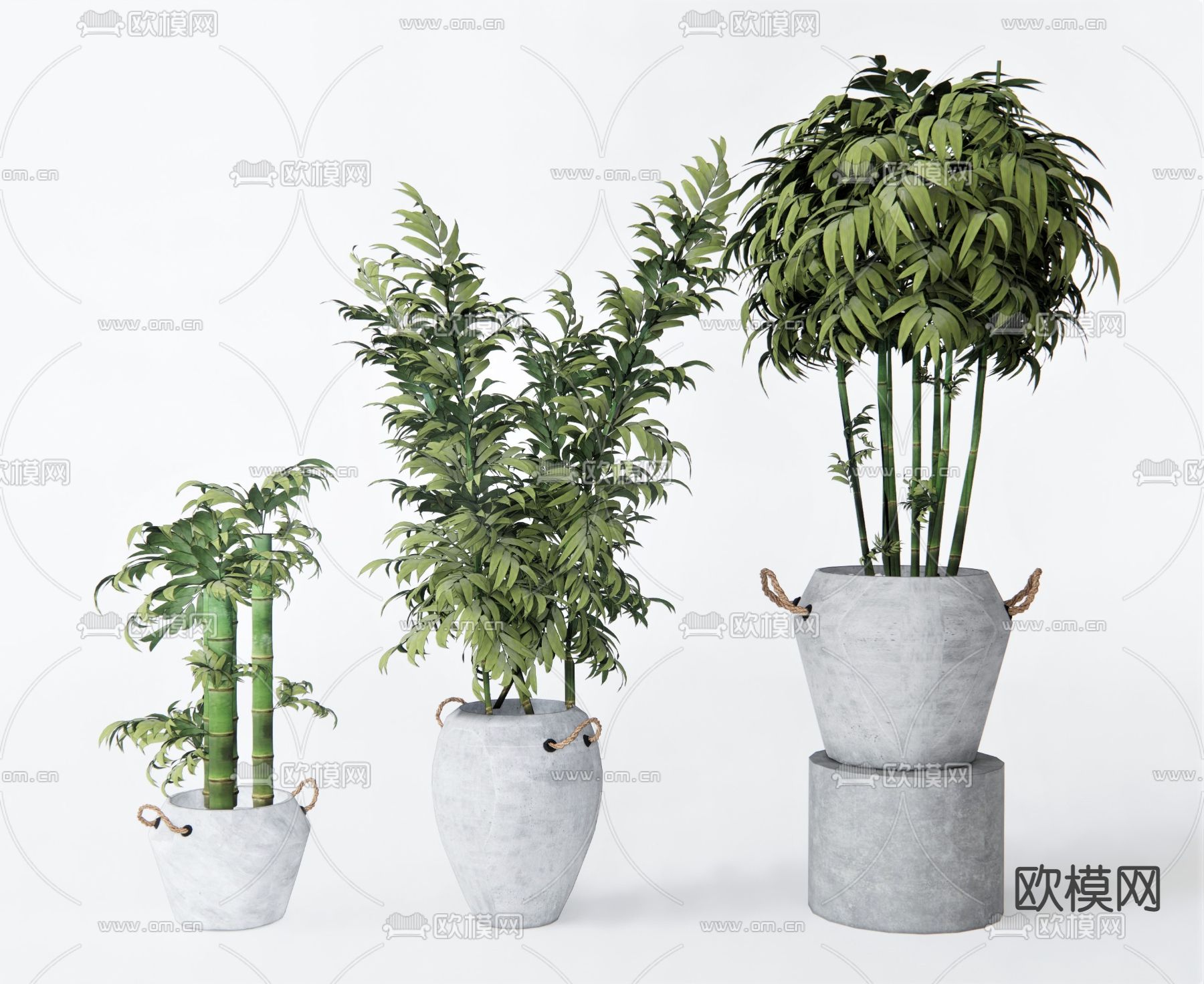 现代植物盆栽su模型下载（渲染图1）