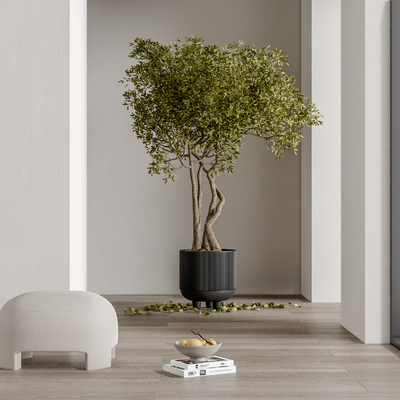 现代植物盆栽su模型