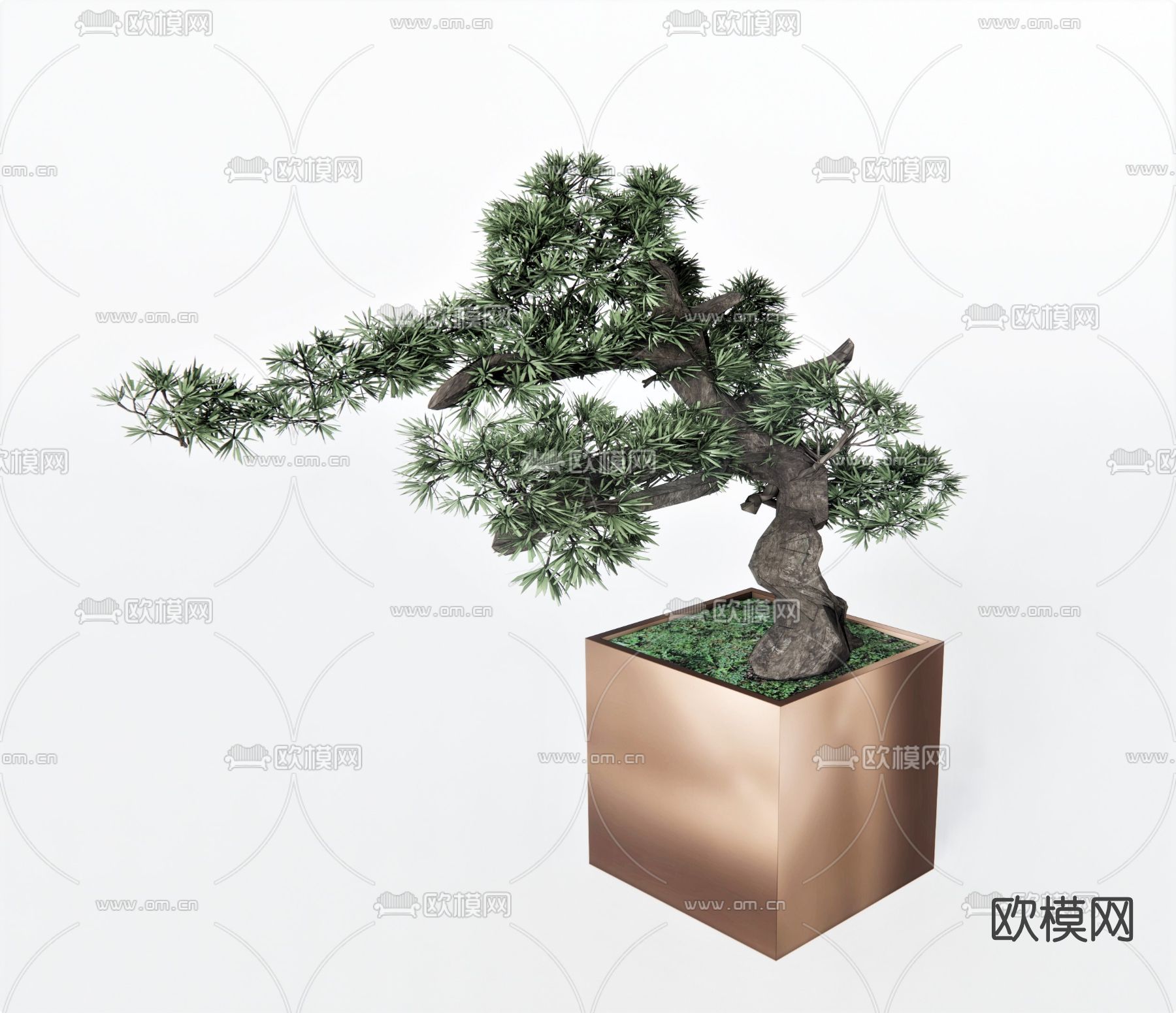 现代植物盆栽su模型下载（渲染图1）