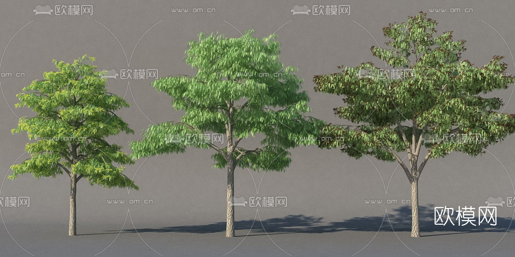 现代绿植树木免费3d模型下载