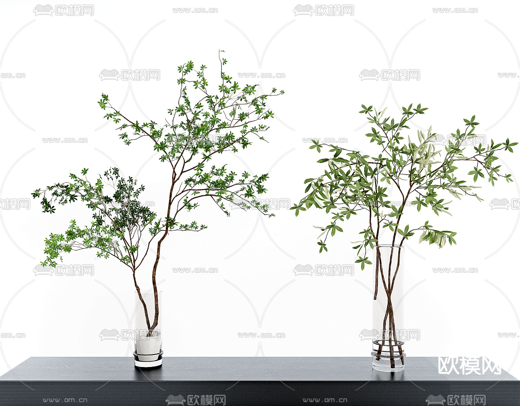 现代绿植花瓶3d模型下载