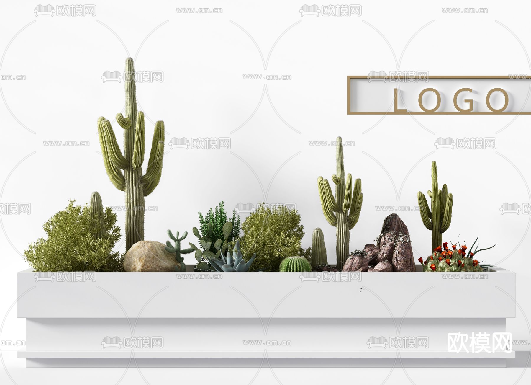 现代仙人掌植物盆栽3d模型