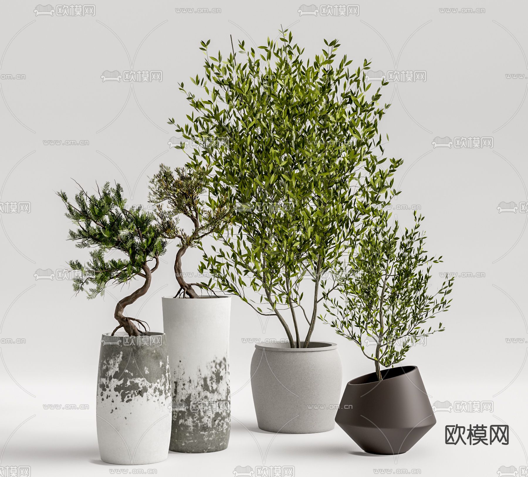 侘寂风植物盆栽su模型