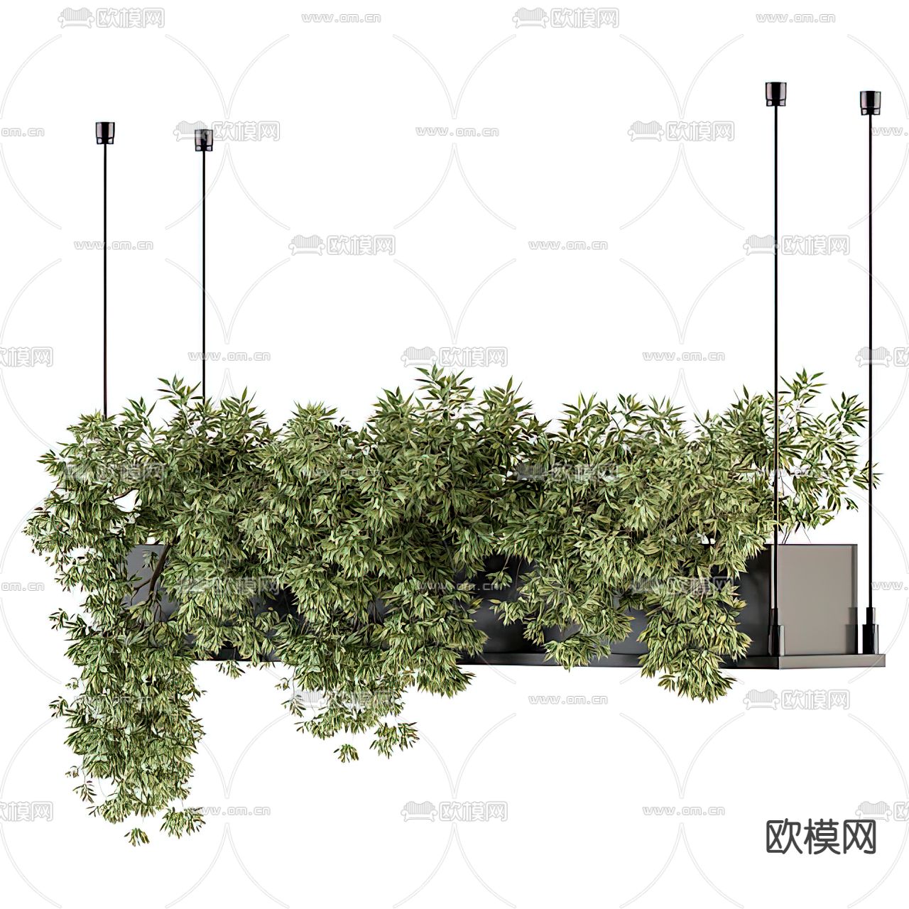 现代绿植吊篮3d模型