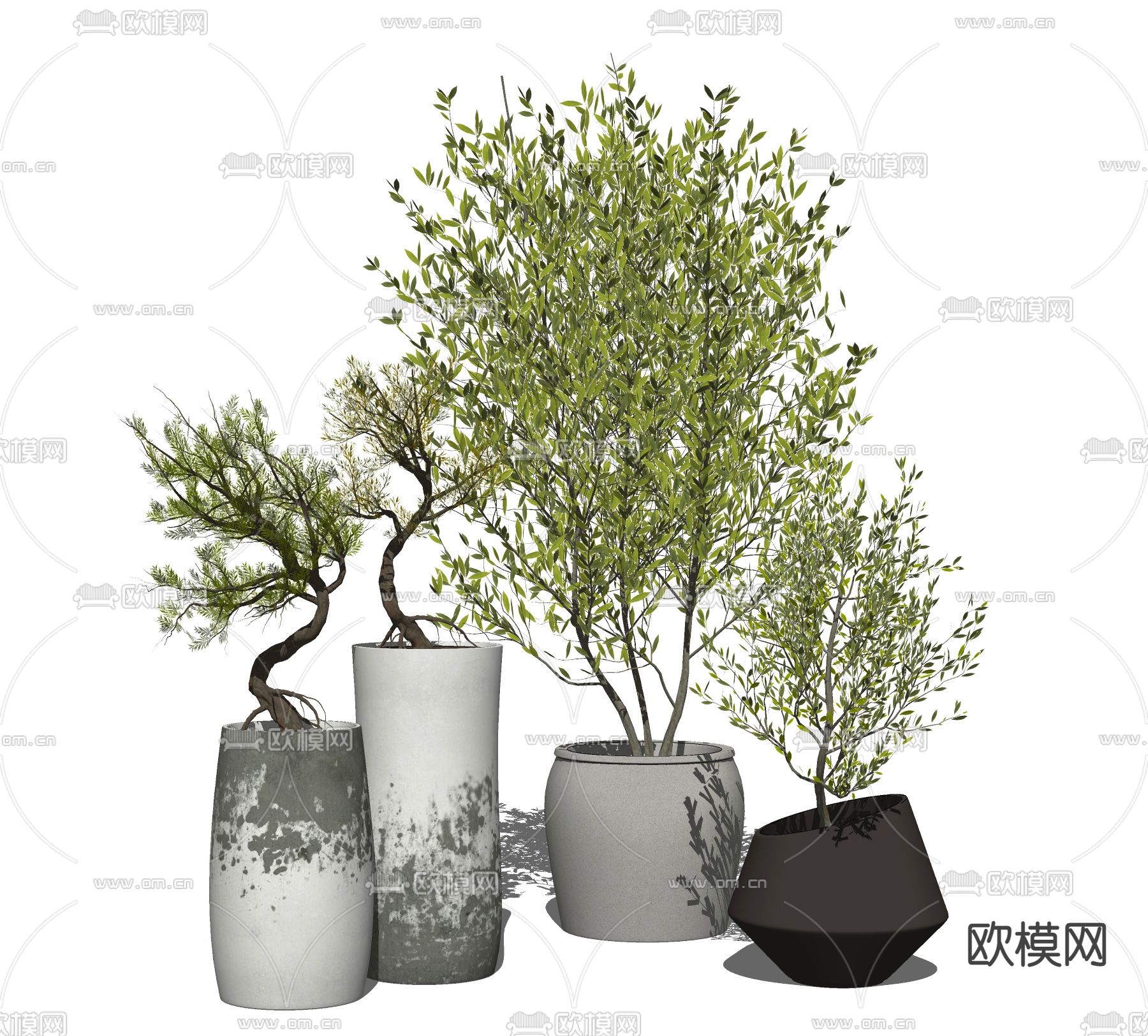 侘寂风植物盆栽su模型