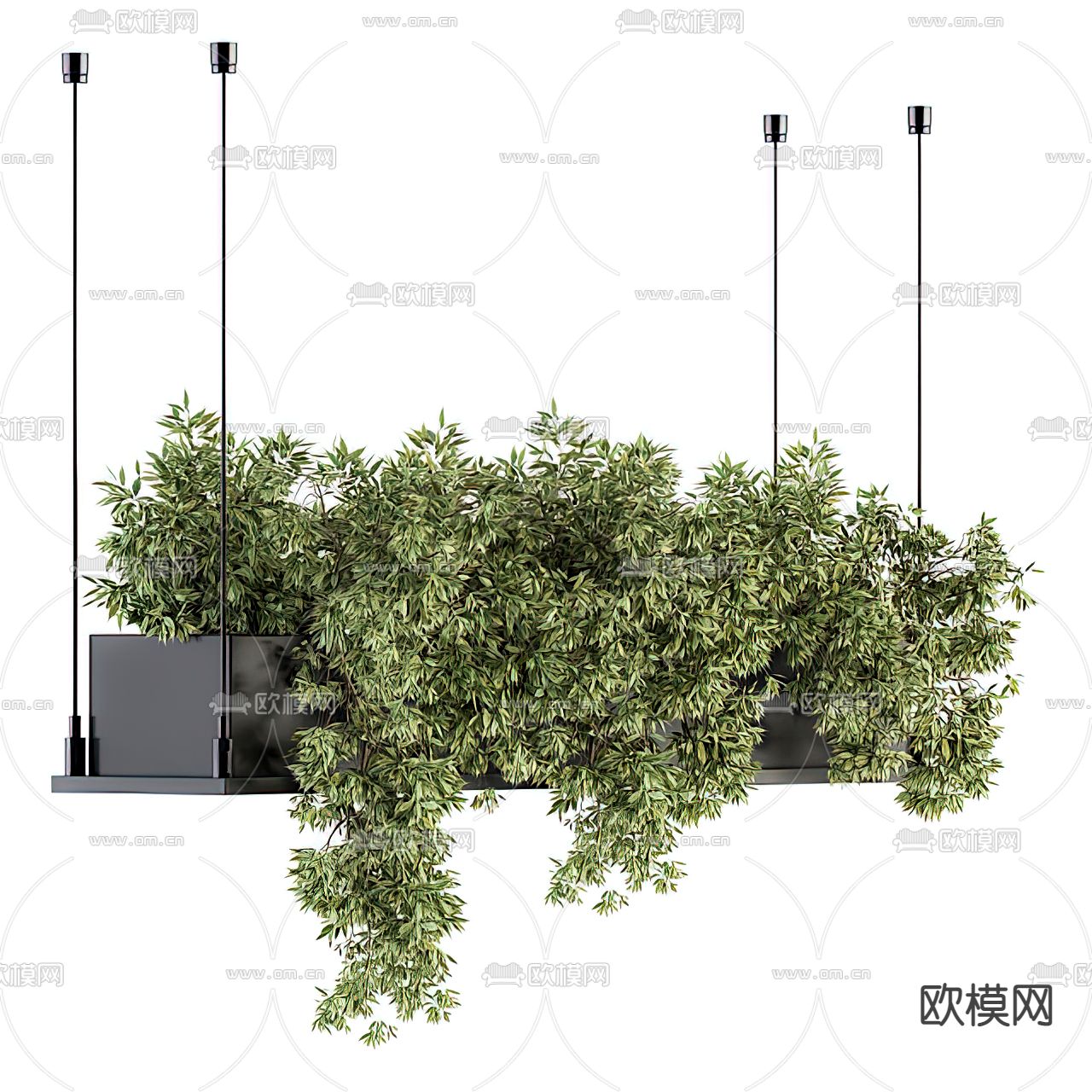 现代绿植吊篮3d模型