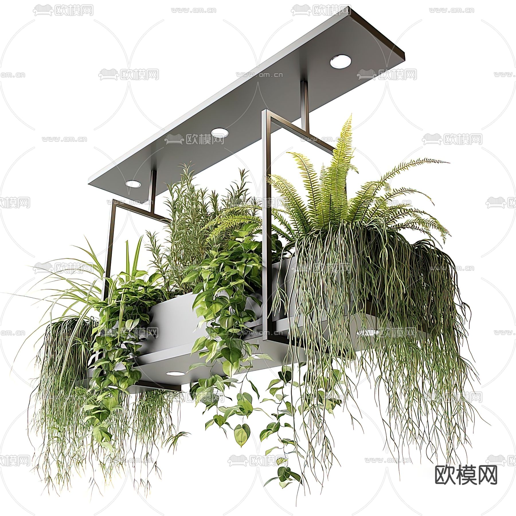 现代植物吊篮3d模型下载（渲染图1）