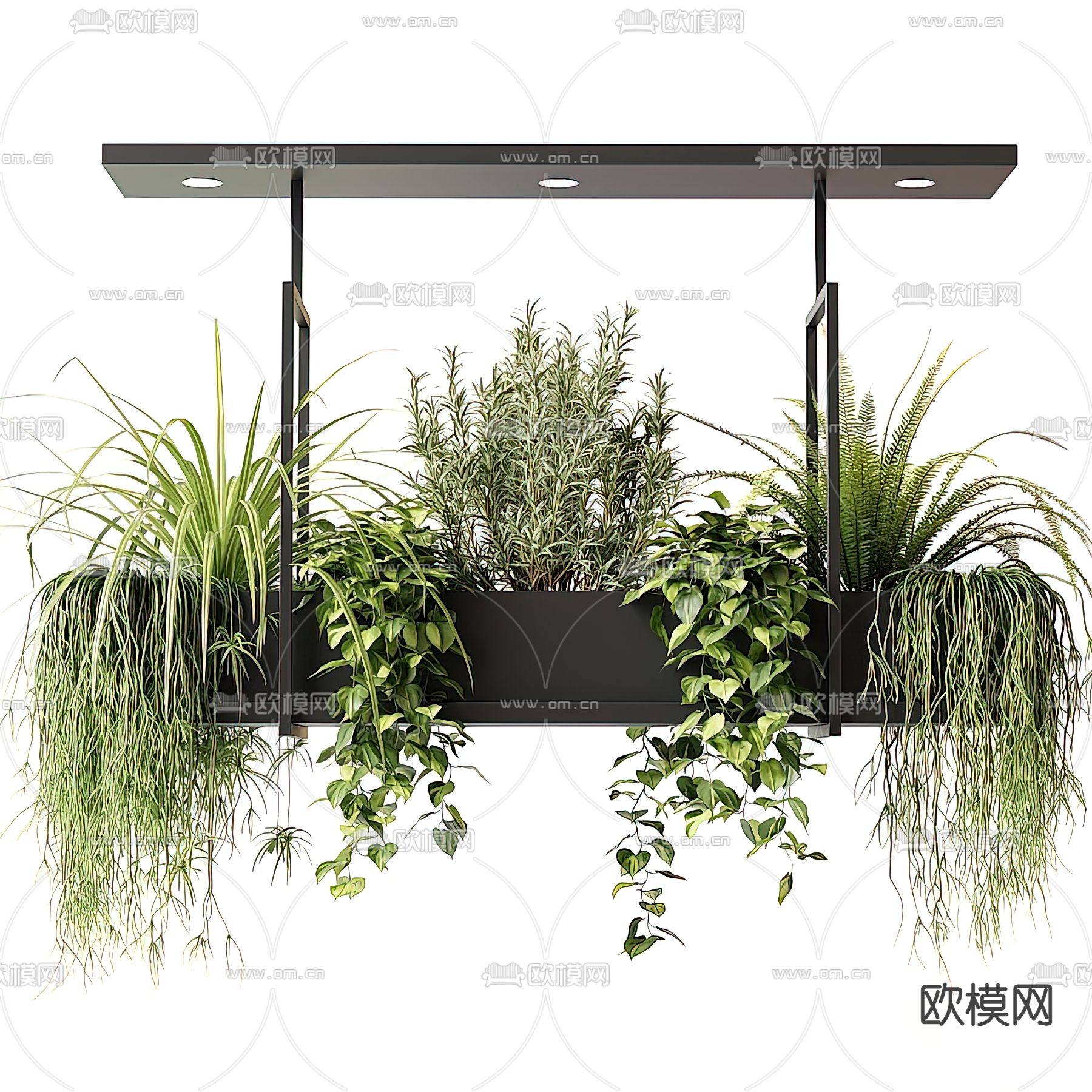 现代植物吊篮3d模型下载（渲染图2）