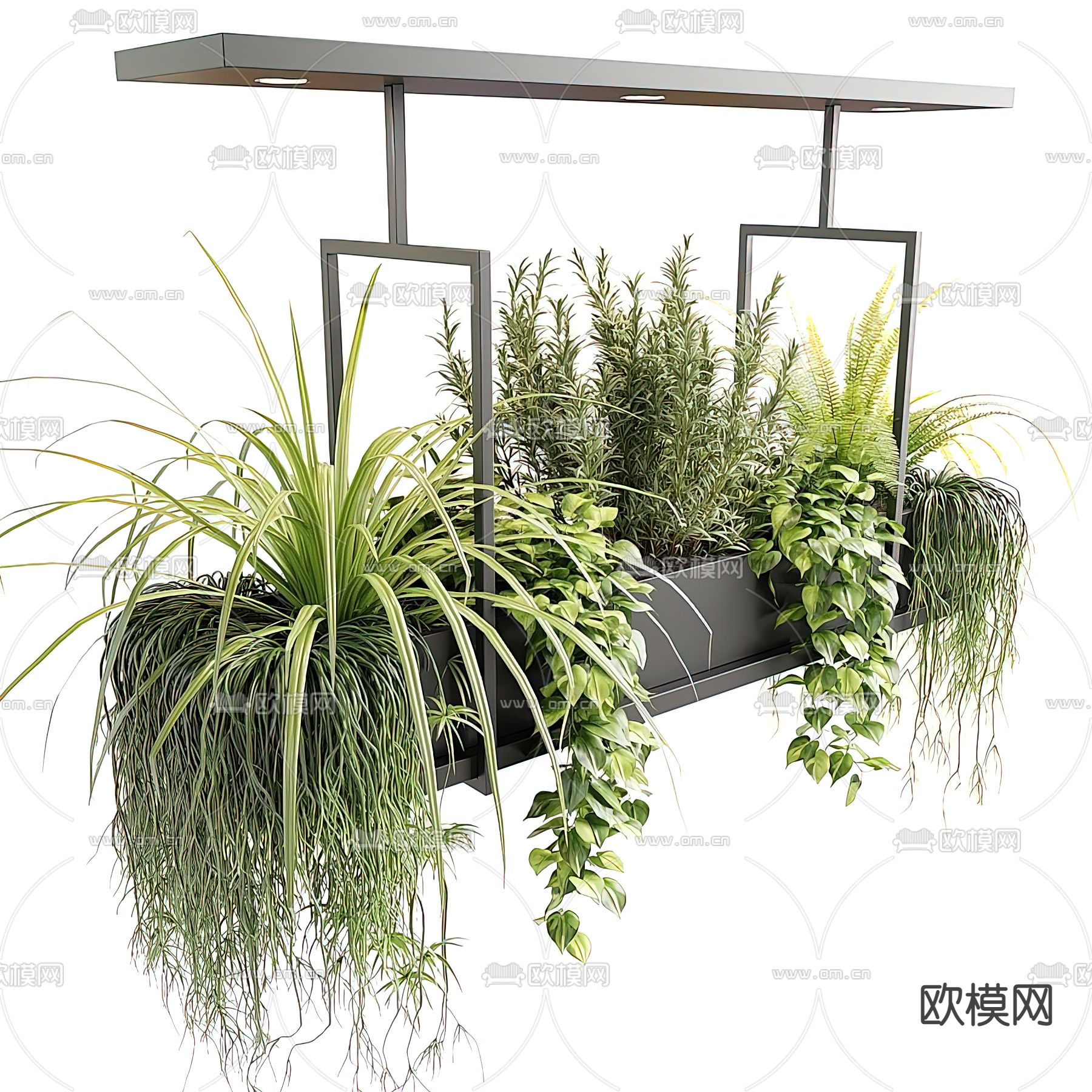 现代植物吊篮3d模型下载（渲染图4）