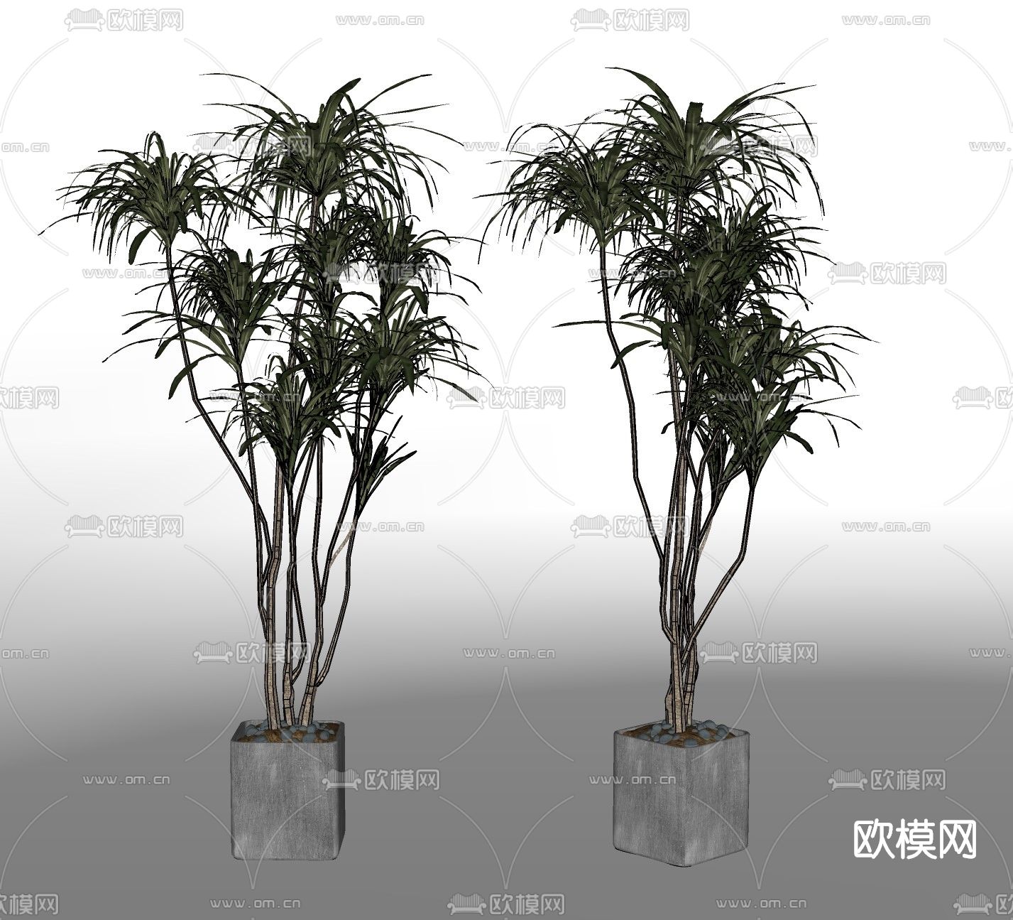现代植物盆栽su模型