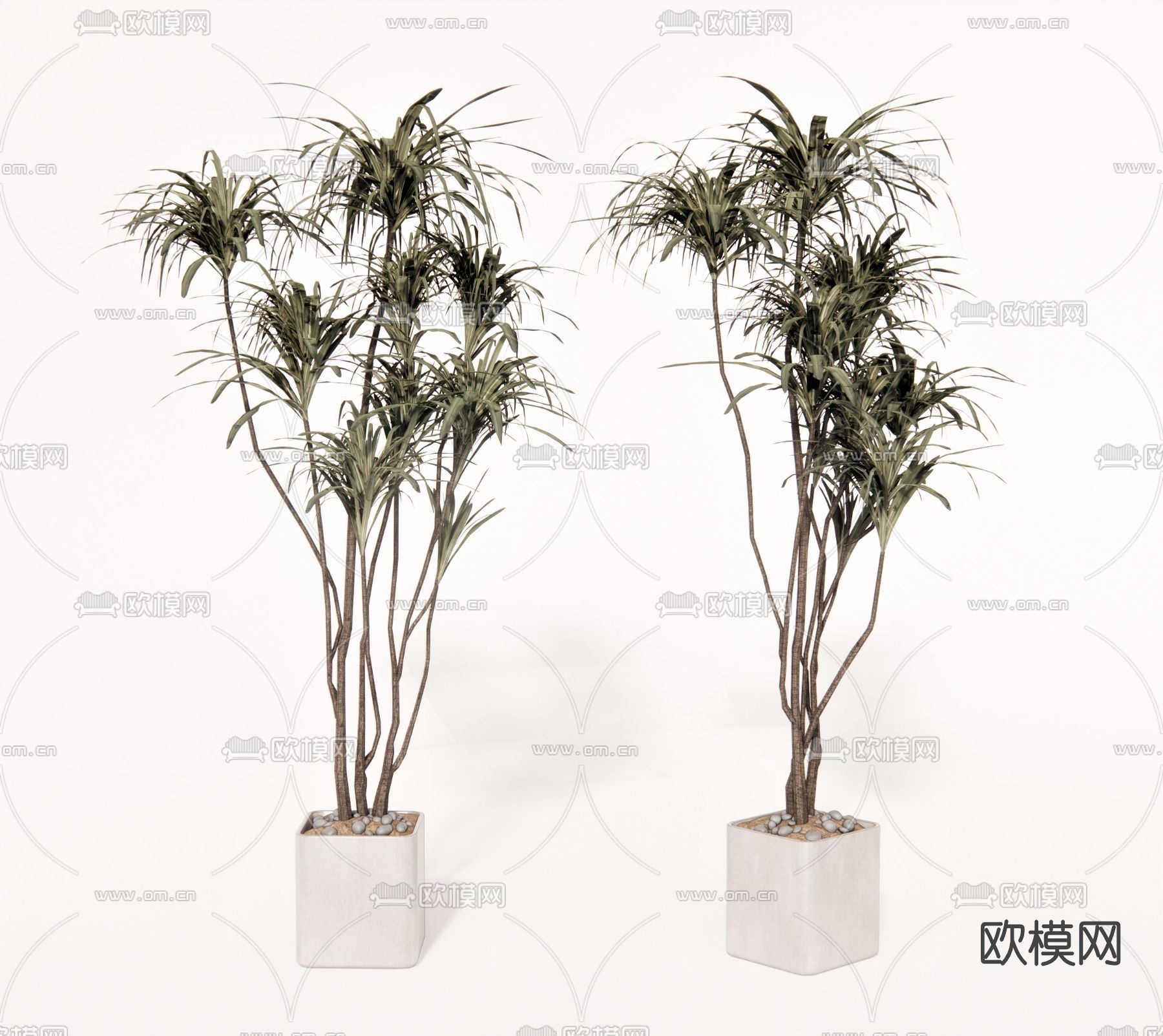 现代植物盆栽su模型