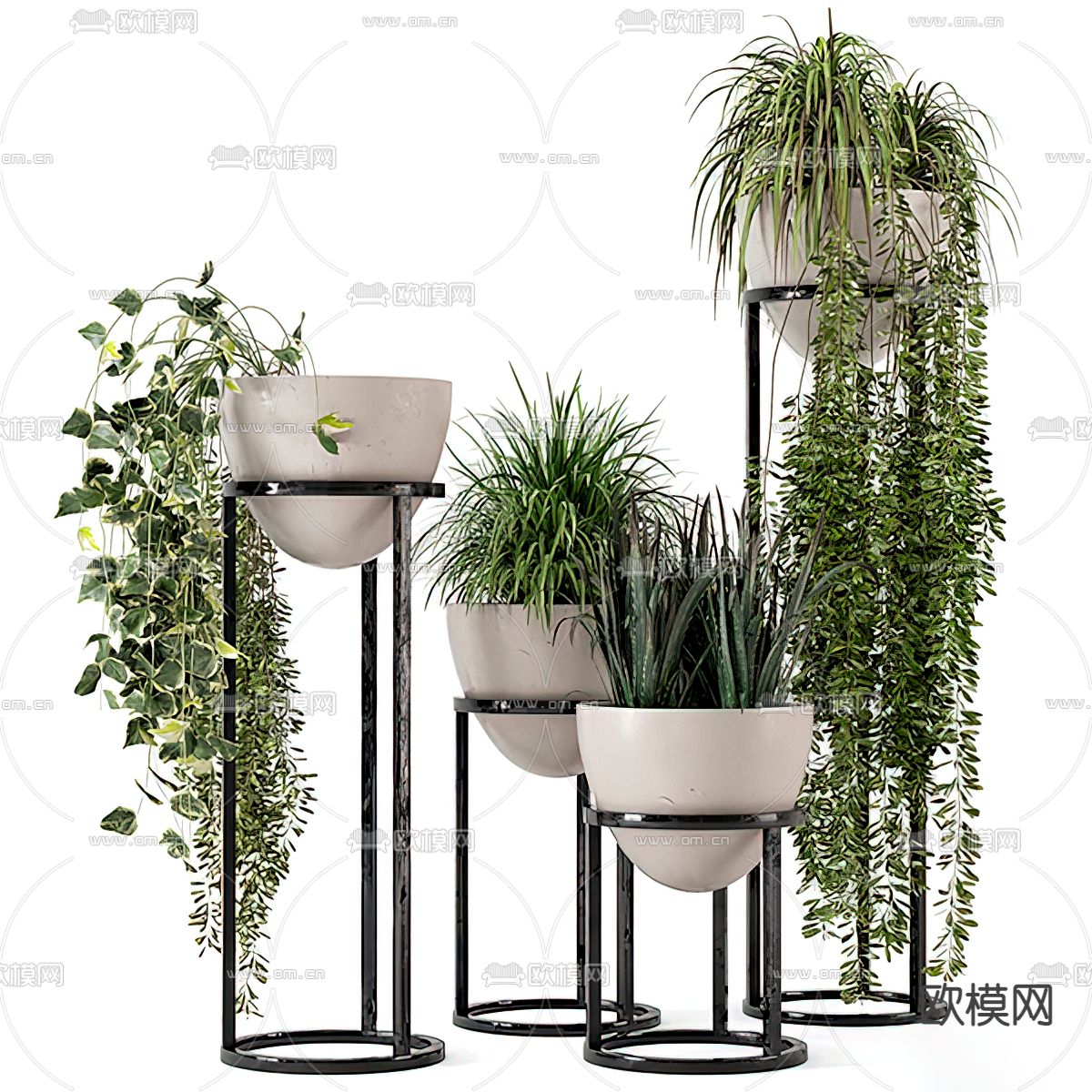 现代绿萝植物盆栽3d模型下载