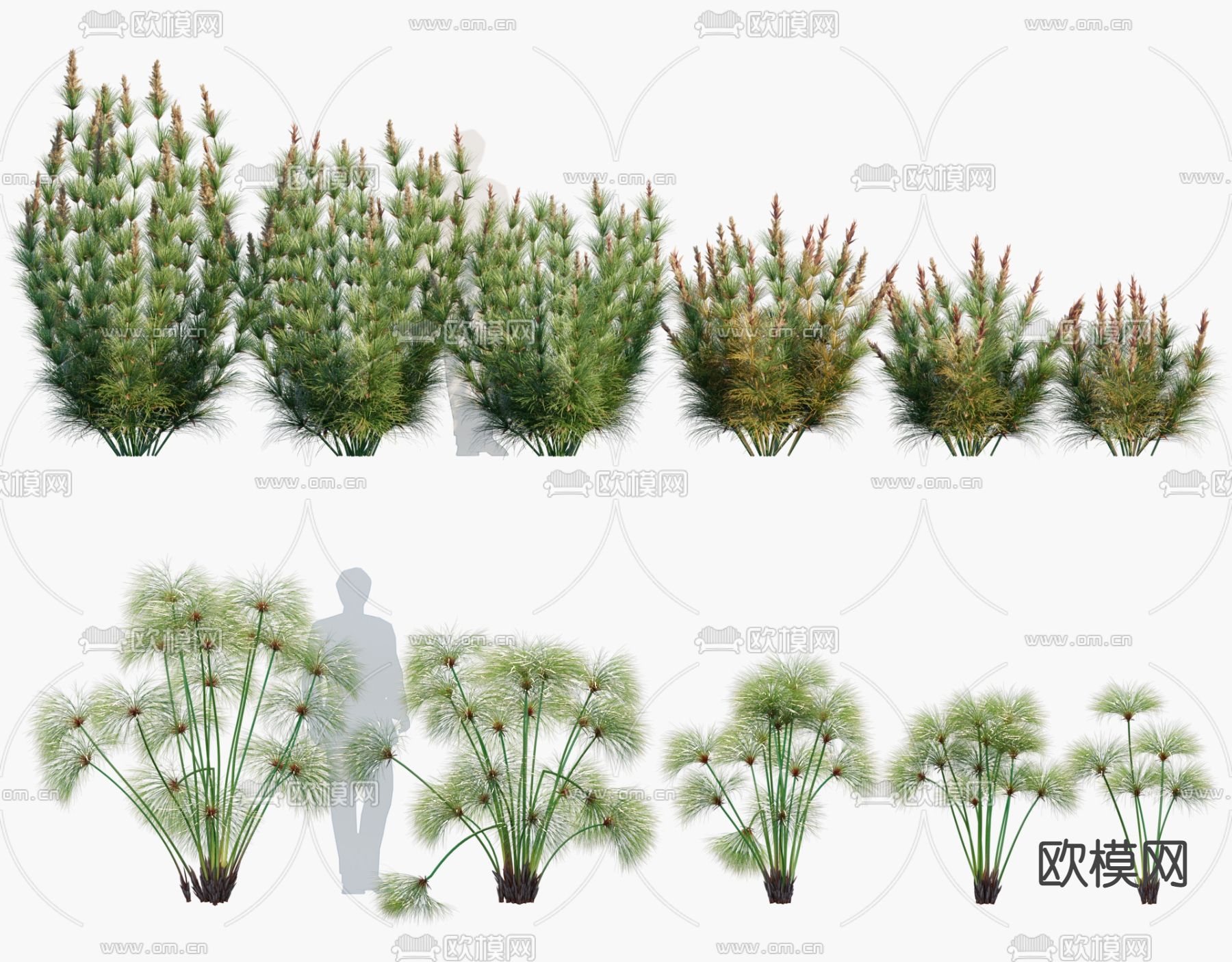 现代莎草燕麦竹灯草3d模型下载（渲染图1）