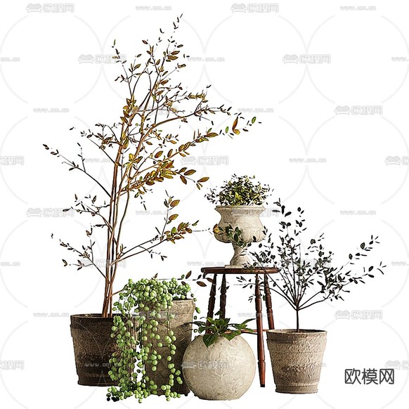 现代绿植盆栽3d模型下载