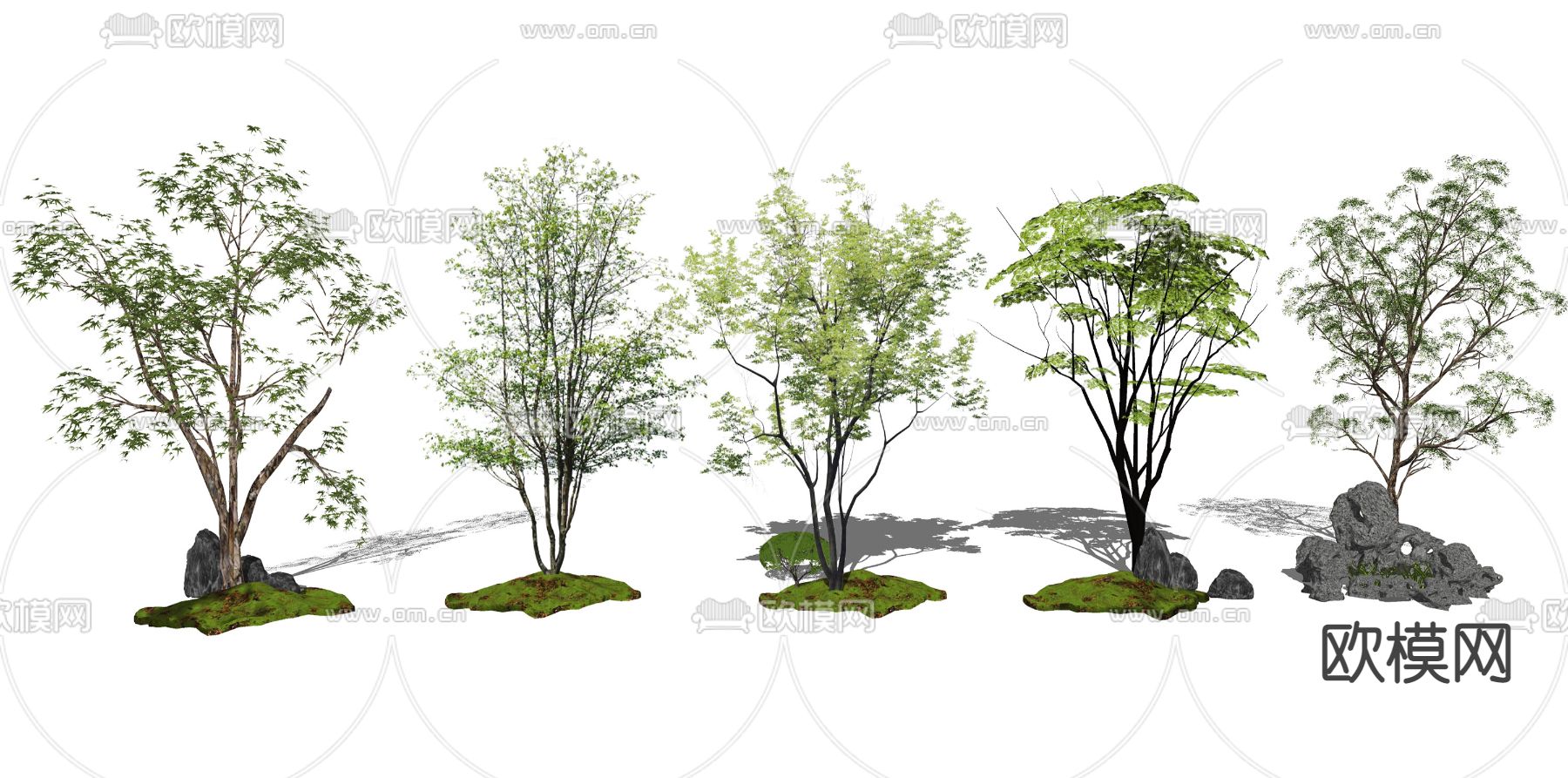 现代景观植物su模型下载