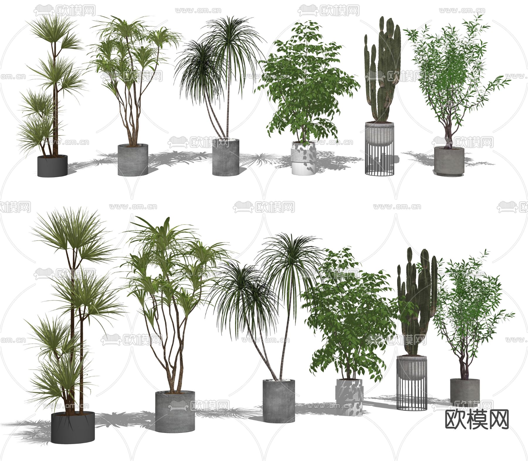 现代绿植盆栽su模型