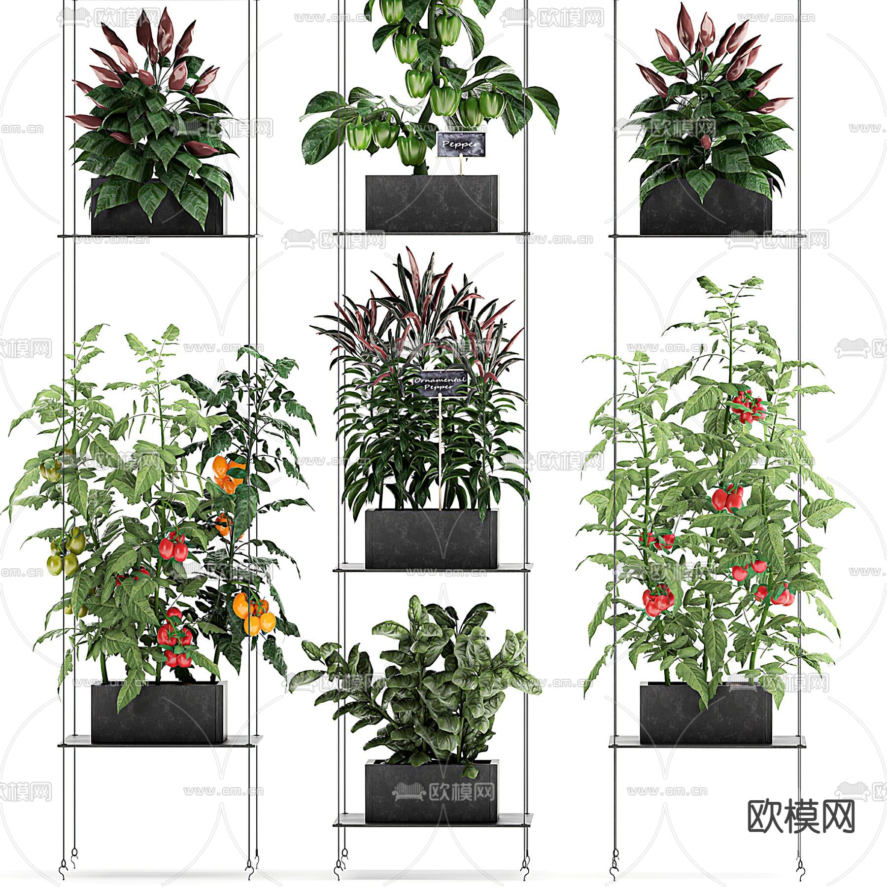 现代绿植盆栽花架3d模型