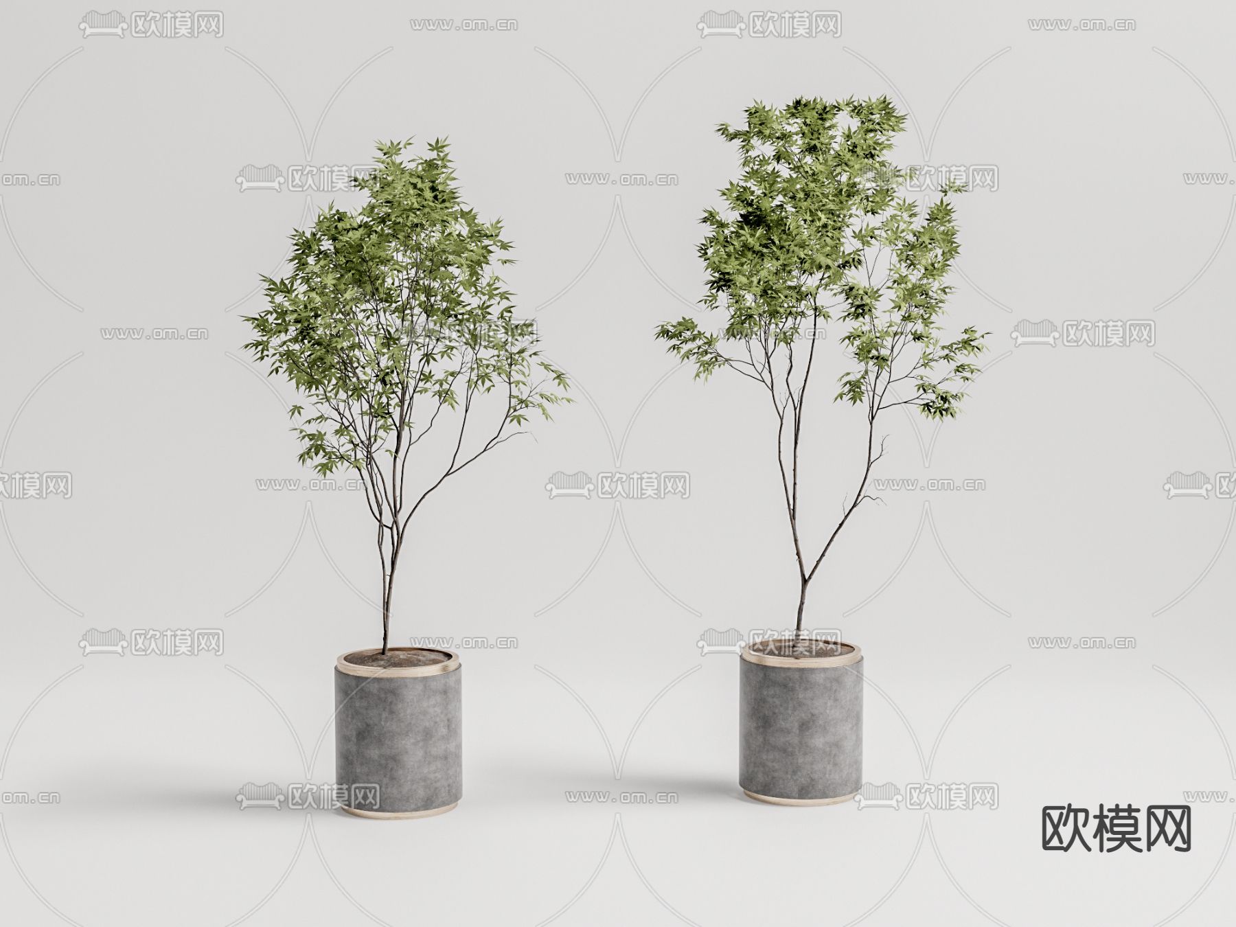 现代植物盆栽su模型下载（渲染图1）