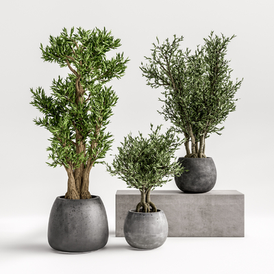 现代植物盆栽su模型