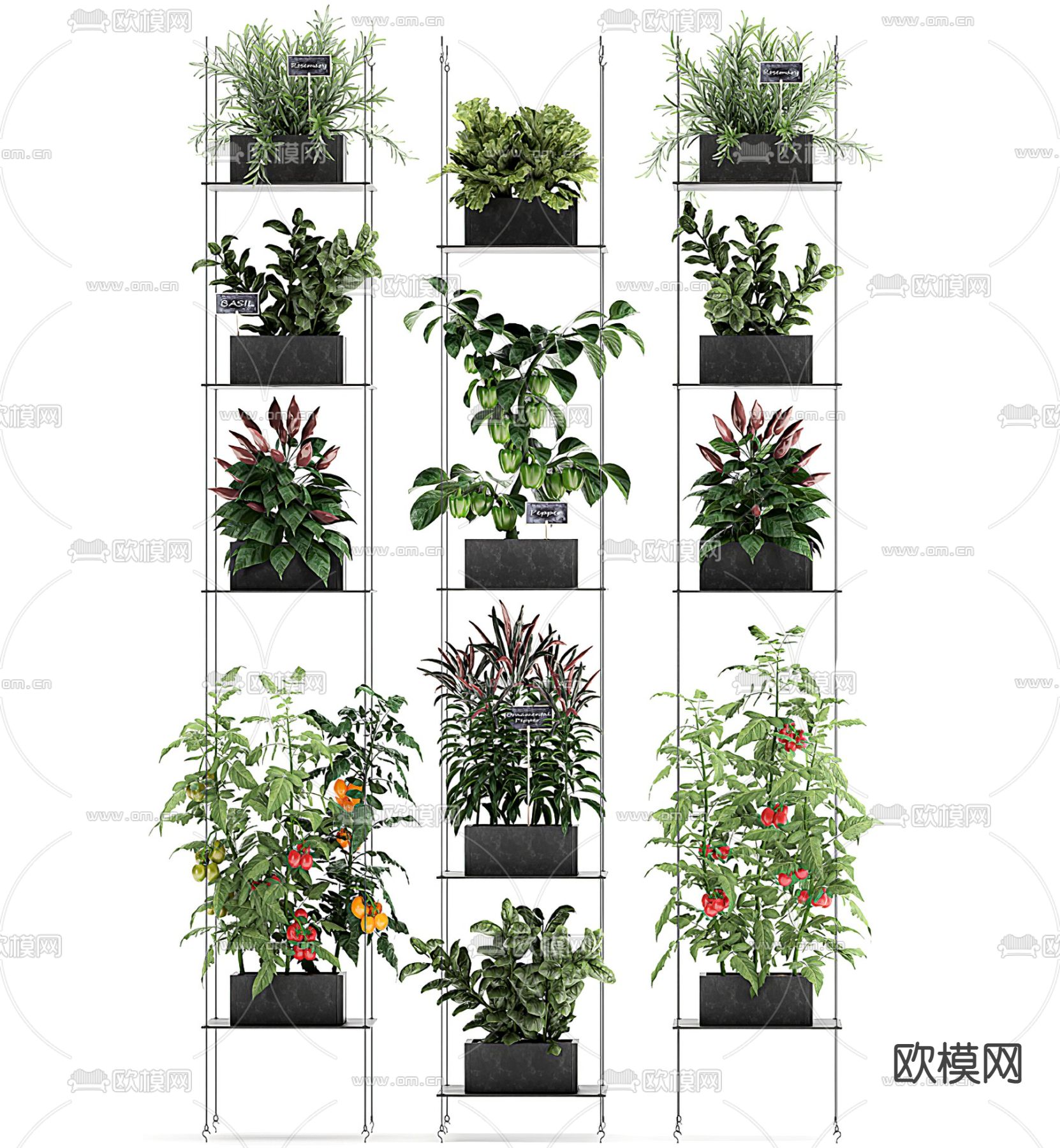 现代绿植盆栽花架3d模型