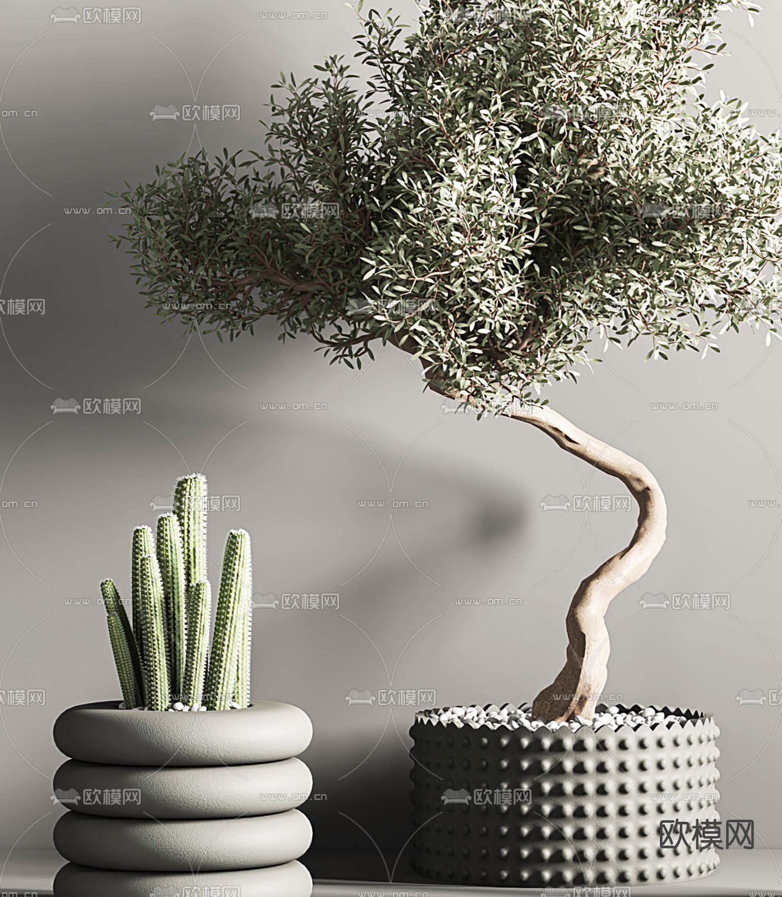 现代植物盆栽3d模型下载（渲染图2）