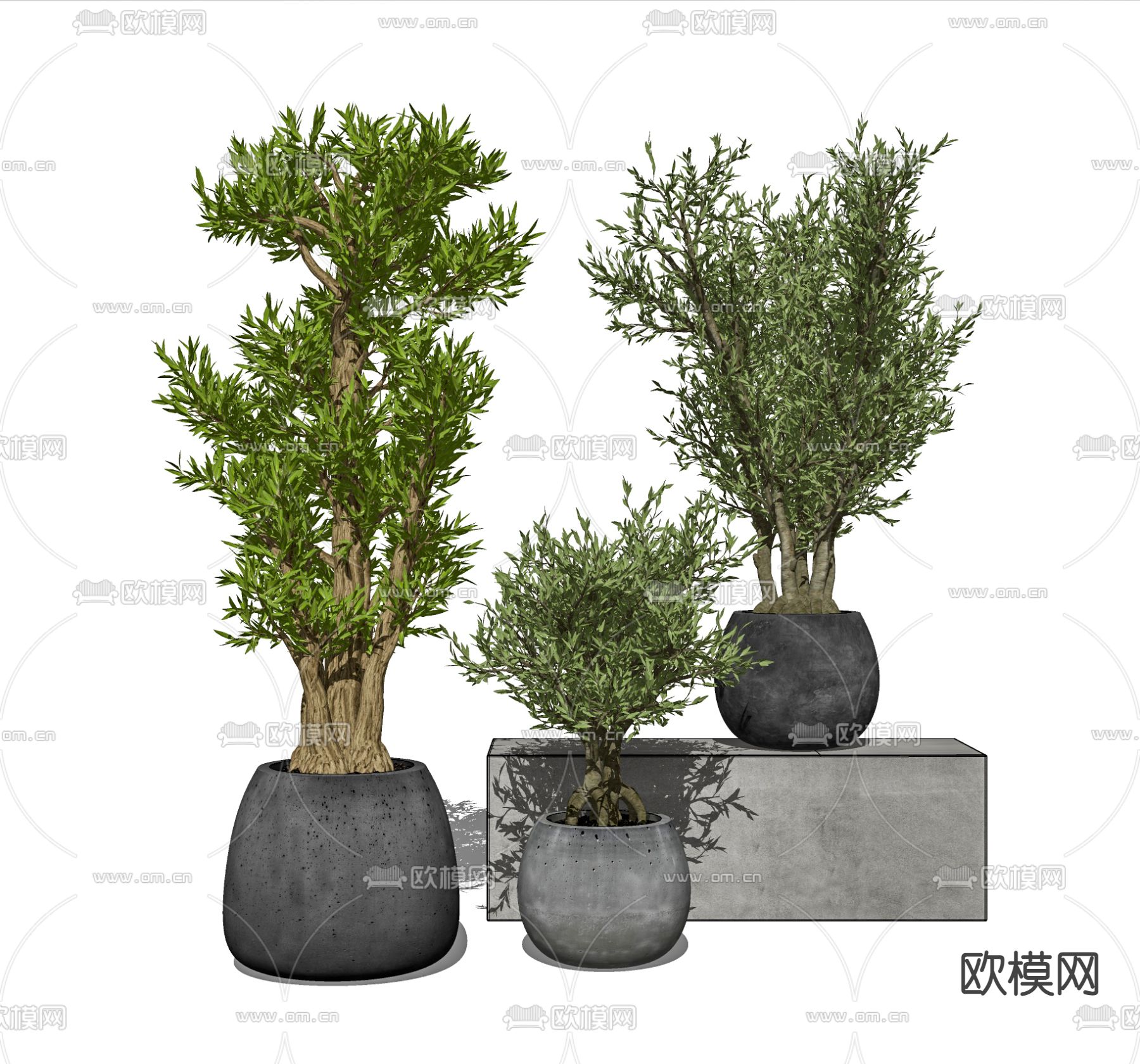 现代植物盆栽su模型