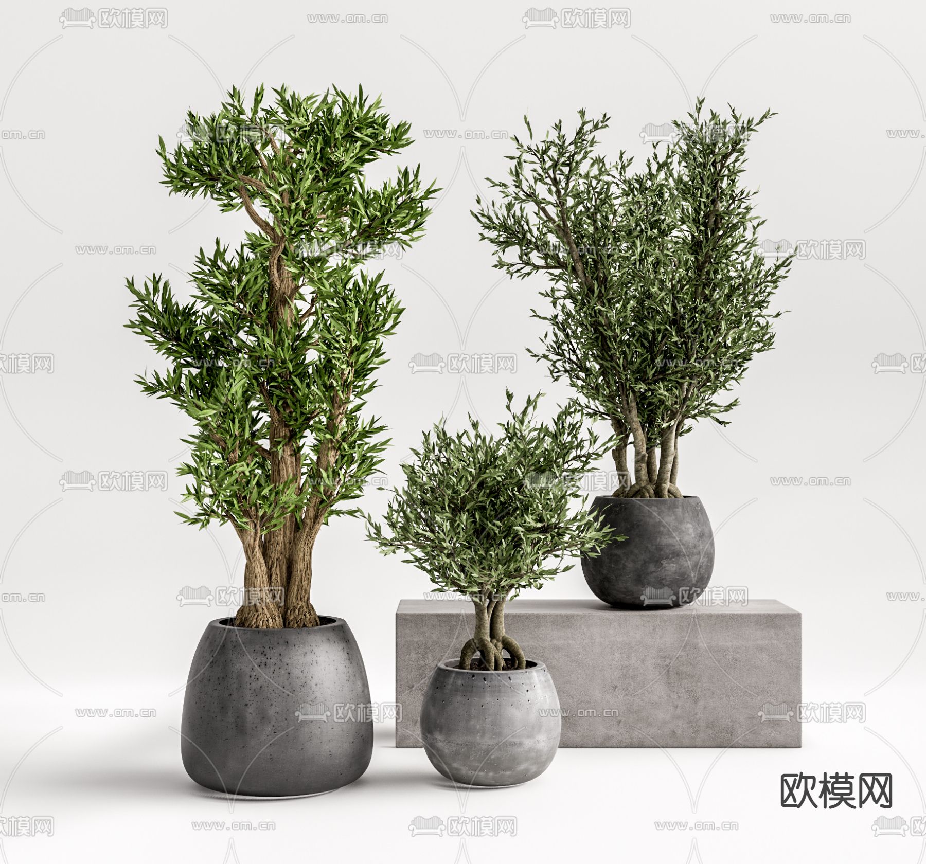 现代植物盆栽su模型