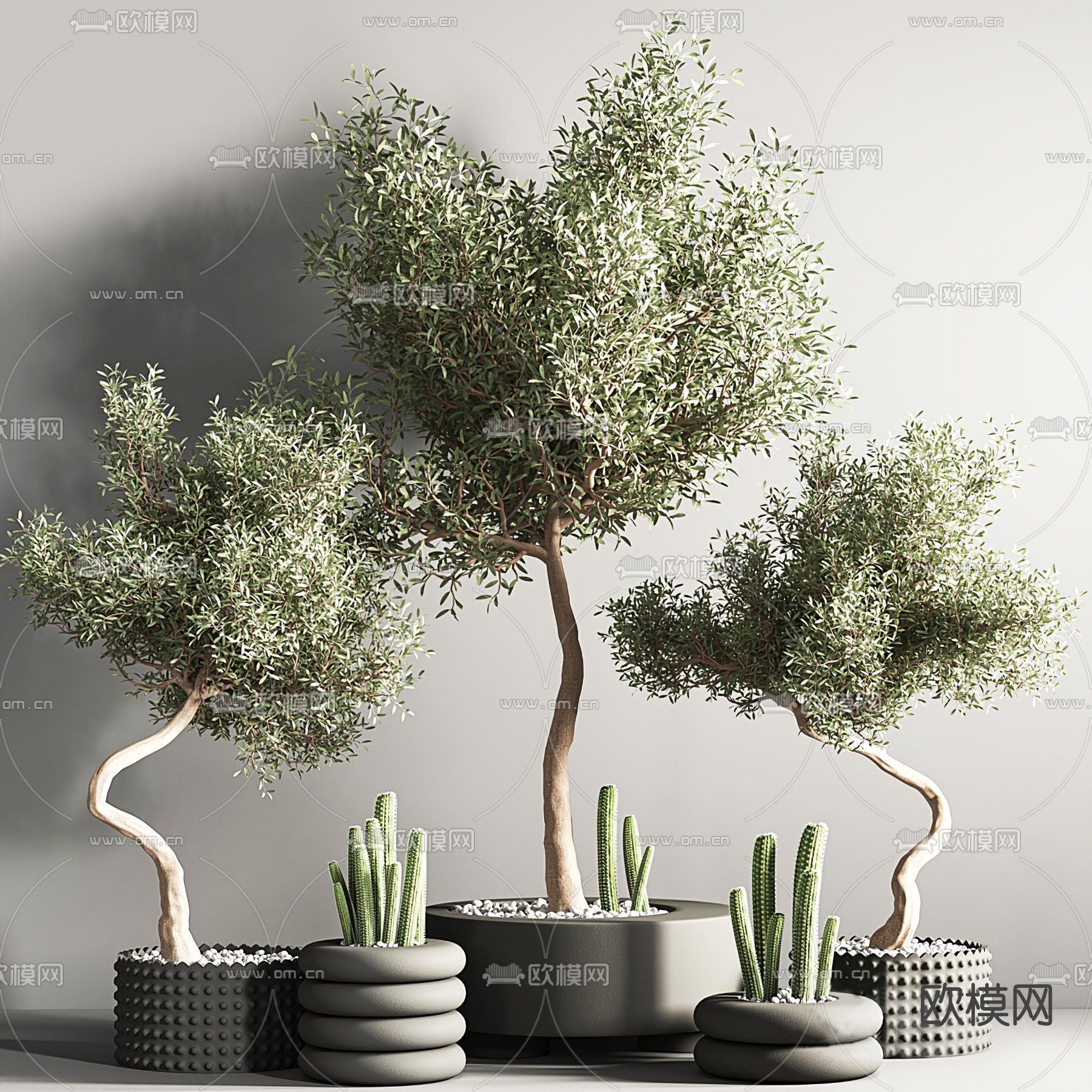 现代植物盆栽3d模型下载（渲染图1）