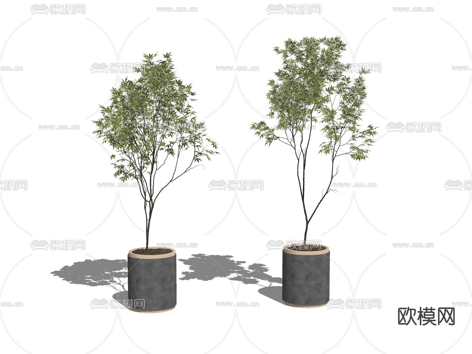 现代植物盆栽su模型下载（渲染图2）