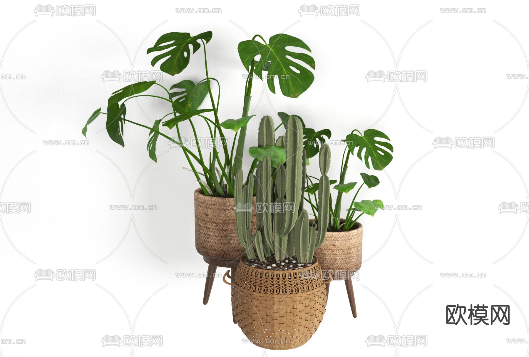 北欧绿植盆栽免费3d模型下载