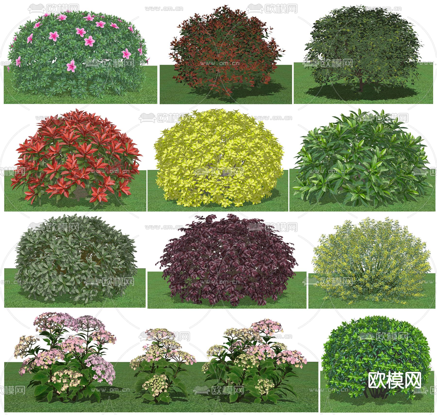 现代灌木su模型下载（渲染图2）