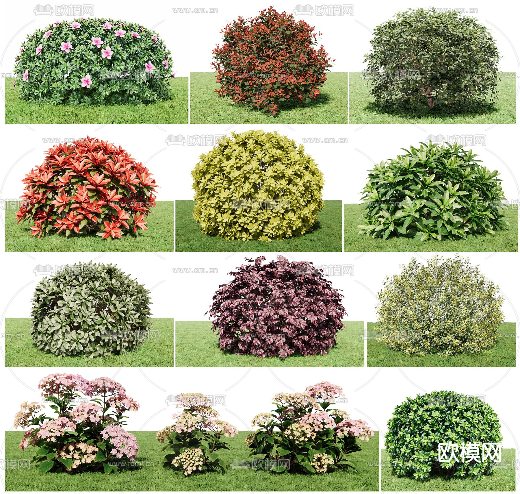 现代灌木su模型下载（渲染图1）