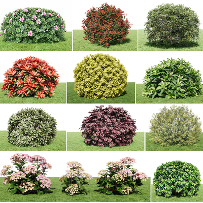  现代灌木su模型 