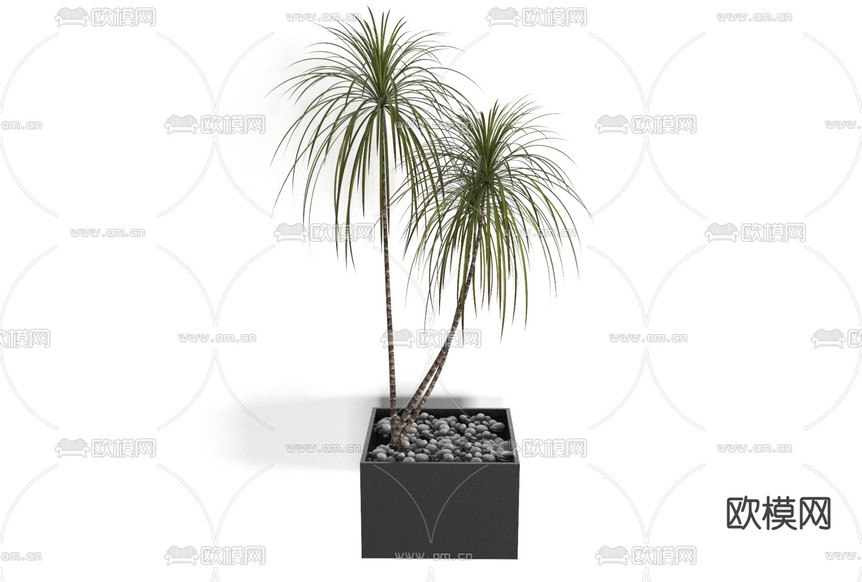 现代绿植盆栽免费3d模型下载