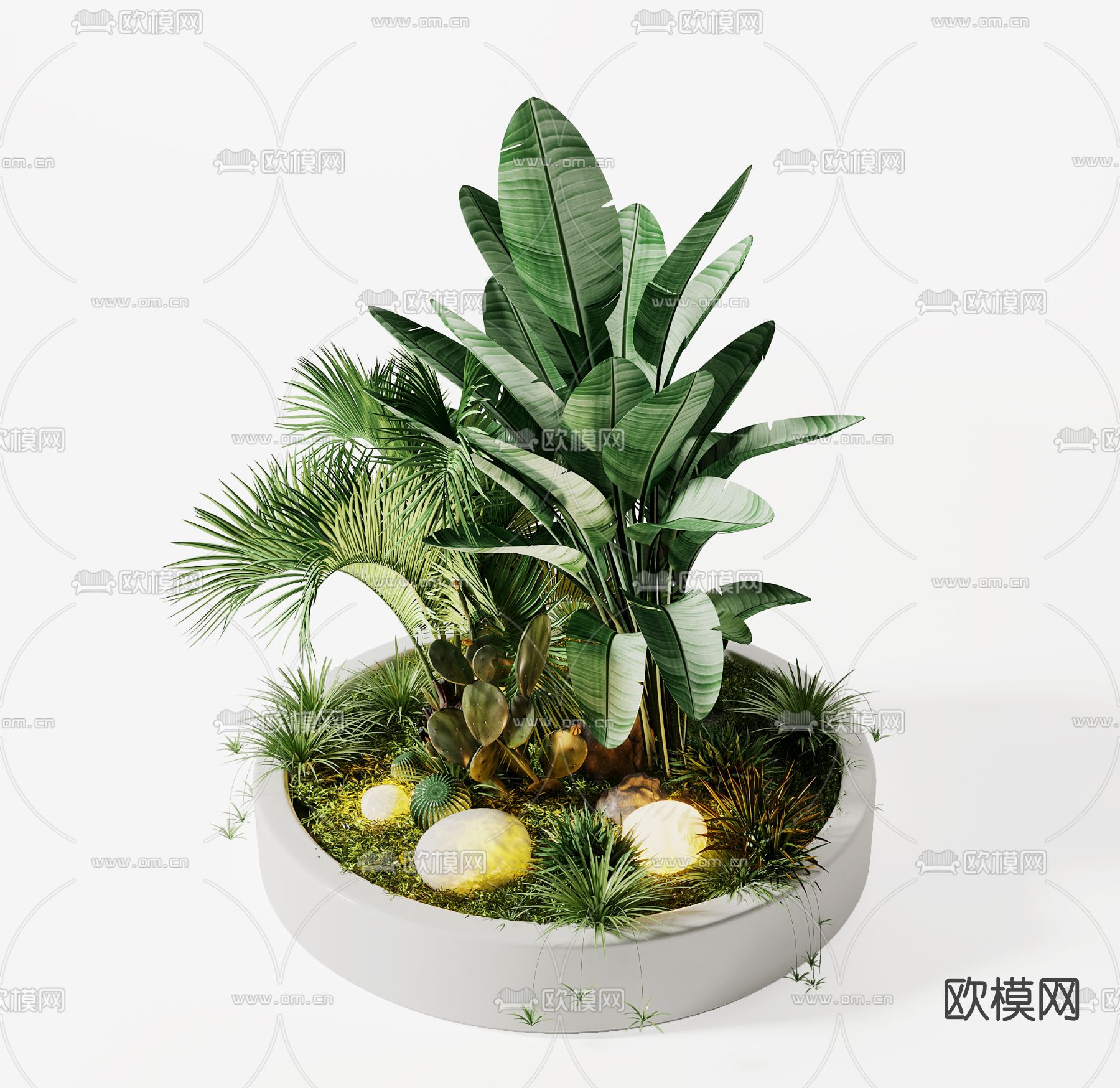 现代植物盆栽3d模型