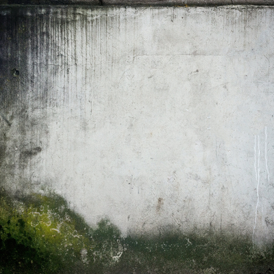 青苔水泥墙 