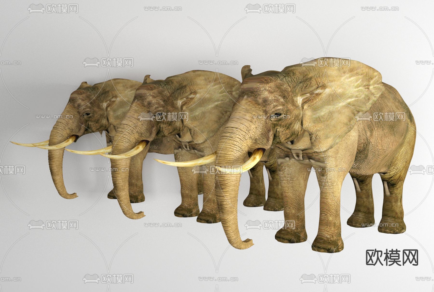 现代动物大象免费3d模型